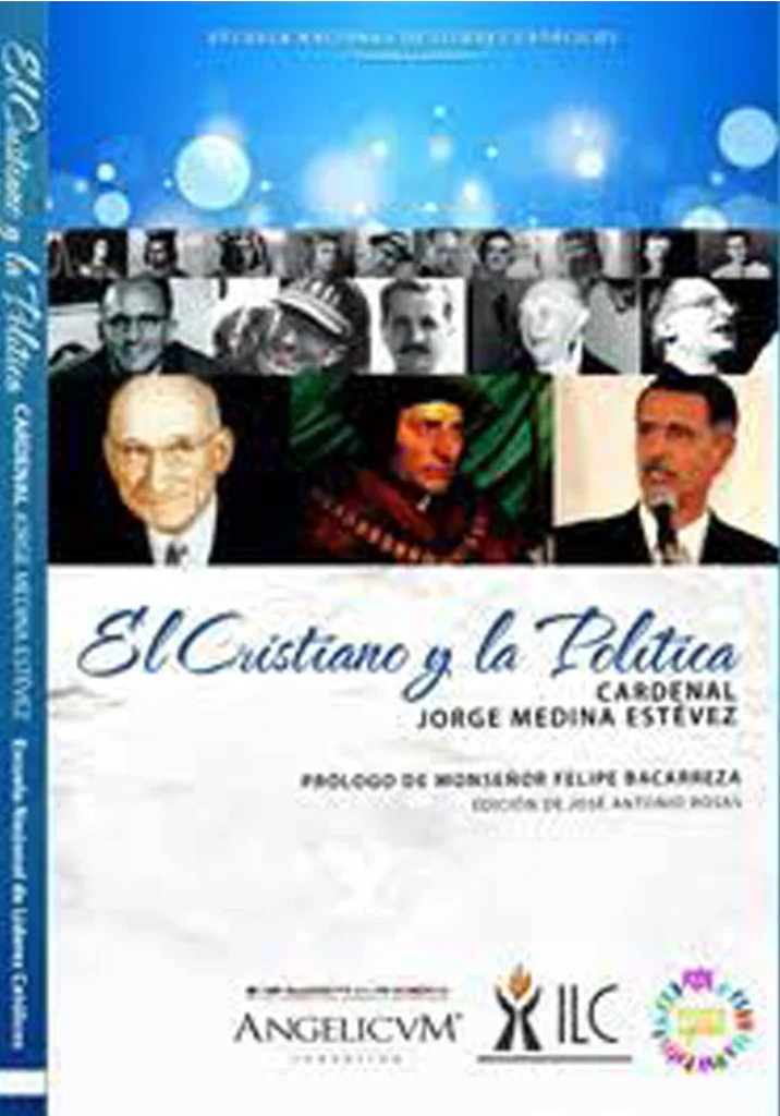 Católicos en política